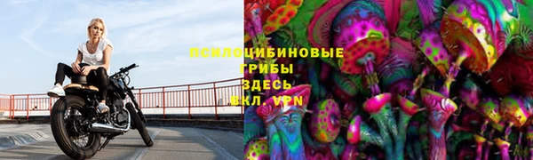 PSILOCYBIN Алзамай