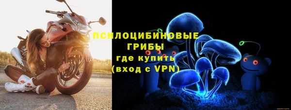 шишки Алексин