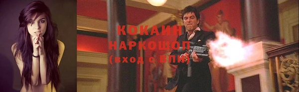 шишки Алексин