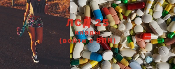 PSILOCYBIN Алзамай