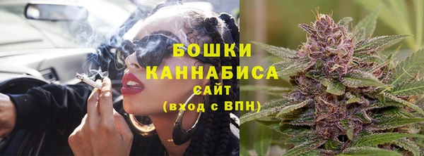 PSILOCYBIN Алзамай