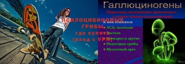 шишки Алексин