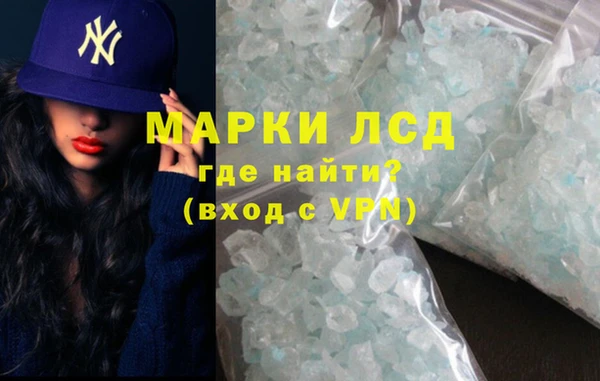 PSILOCYBIN Алзамай