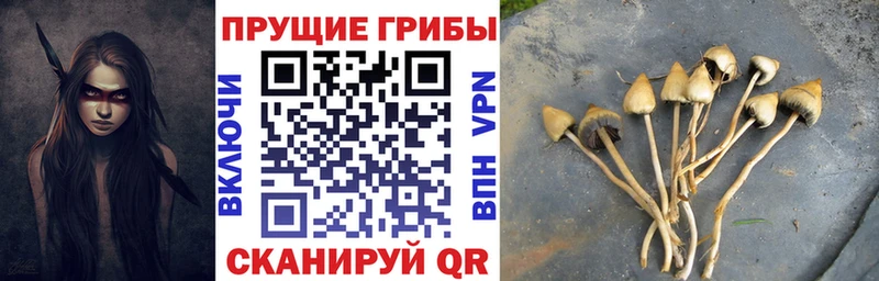 Галлюциногенные грибы мицелий  гидра ссылка  Поронайск 