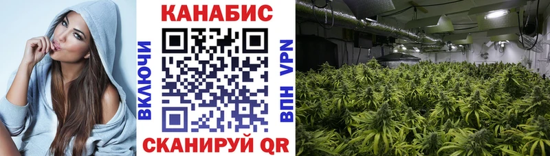 Каннабис планчик  наркота  мега сайт  Поронайск 